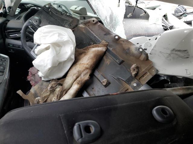 Photo 8 from auction – 2024 NISSAN SENTRA SR with VIN 3N1AB8DV3RY354880