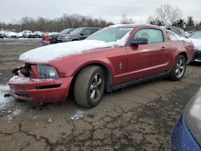 FORD MUSTANG 2007 with VIN 1ZVFT80N375249477 - Photo from auction
