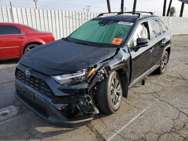 TOYOTA RAV4 XLE P 2024 with VIN JTMB6RFV3RD126941 - Photo from auction