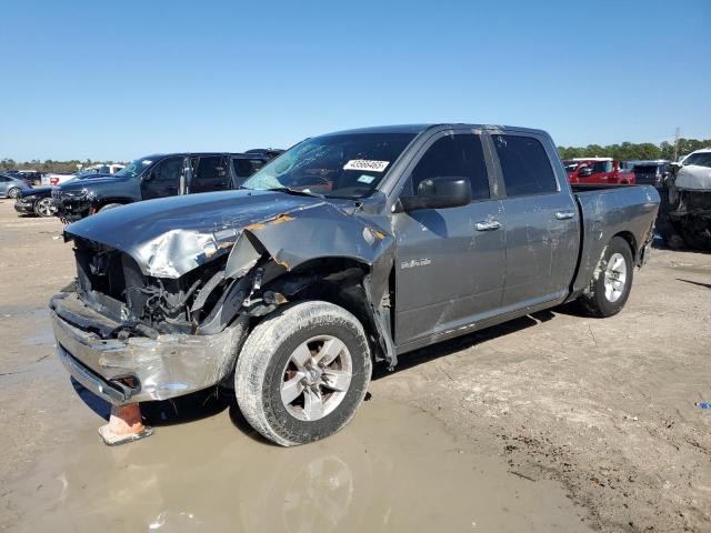 DODGE RAM 1500 2010 with VIN 1D7RB1CP1AS219125 - Photo from auction