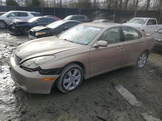LEXUS ES 330 2005 with VIN JTHBA30G255091933 - Photo from auction