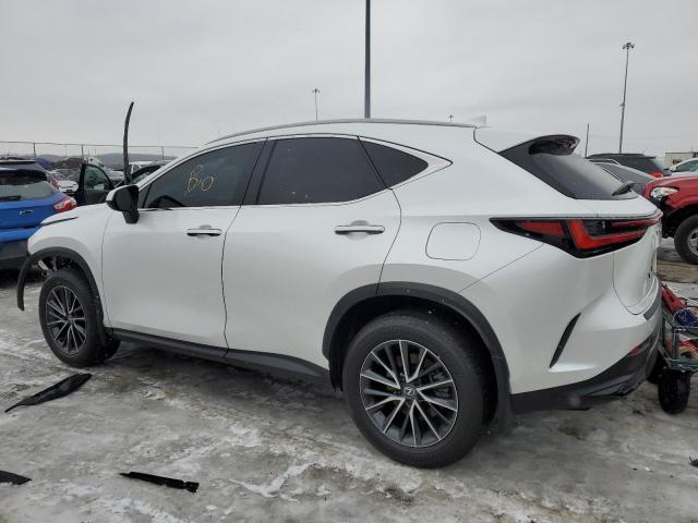 Photo 2 from auction – 2024 LEXUS NX 250 BAS with VIN 2T2ADCAZ6RC010487