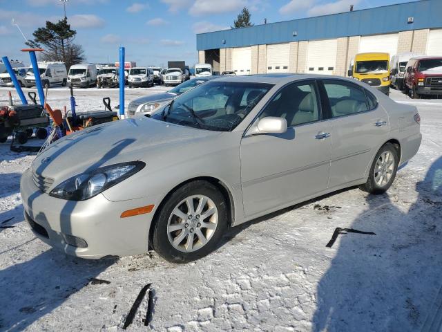LEXUS ES 300 2003 with VIN JTHBF30G330137491 - Photo from auction