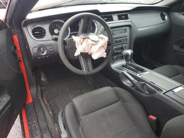 Photo 8 from auction – 2011 FORD MUSTANG with VIN 1ZVBP8AM6B5118769