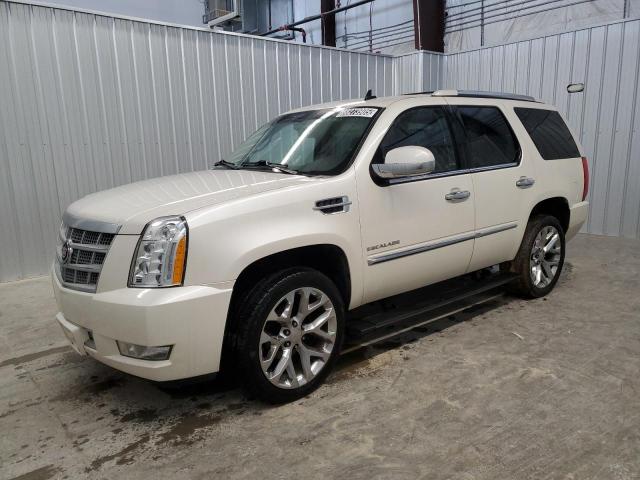 CADILLAC ESCALADE P 2014 with VIN 1GYS4DEF3ER244563 - Photo from auction