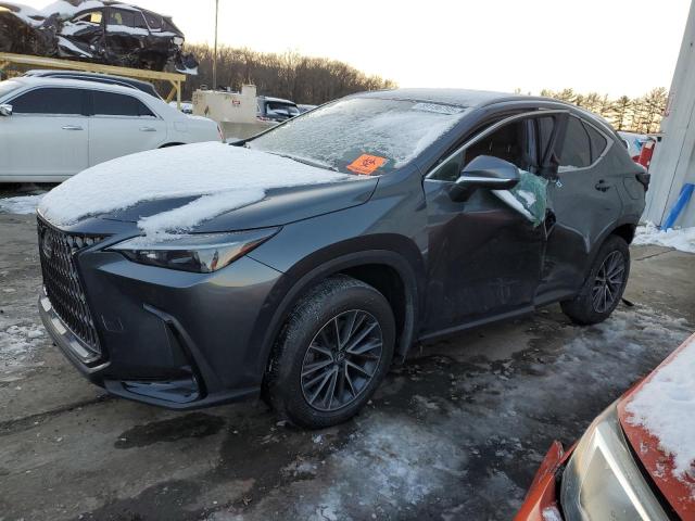 LEXUS NX 350 BAS 2024 with VIN 2T2AGCEZ9RC057644 - Photo from auction