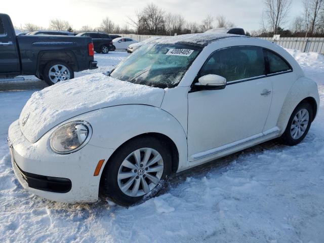VOLKSWAGEN BEETLE 2013 with VIN 3VWJL7AT2DM654446 - Photo from auction