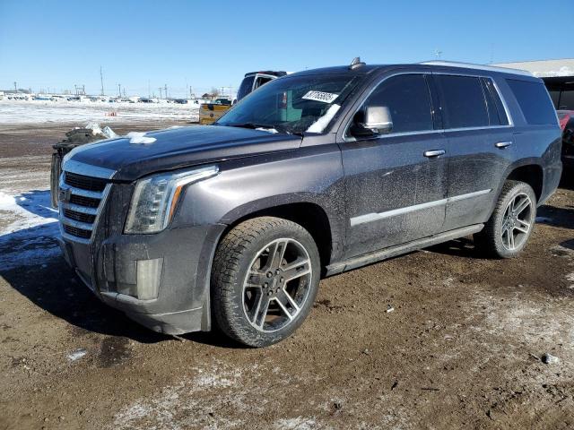 CADILLAC ESCALADE P 2016 with VIN 1GYS4CKJ6GR101905 - Photo from auction