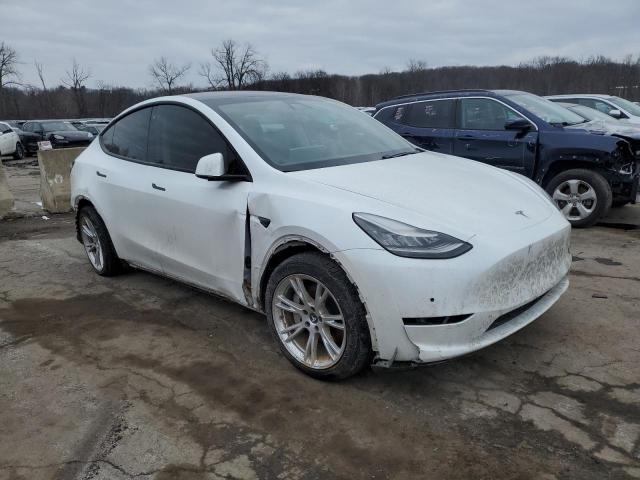 Photo 4 from auction – 2020 TESLA MODEL Y with VIN 5YJYGDEE6LF026456