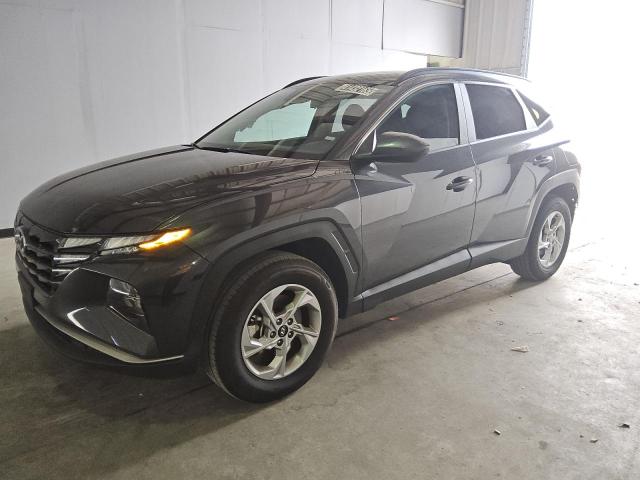 HYUNDAI TUCSON SEL 2024 with VIN 5NMJBCDE5RH356513 - Photo from auction