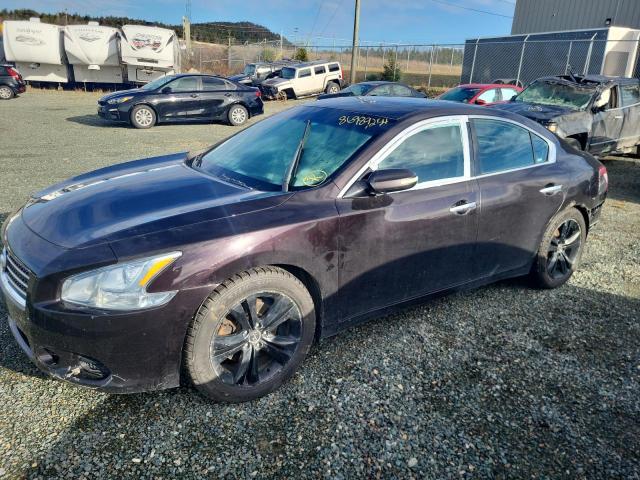 NISSAN MAXIMA S 2011 with VIN 1N4AA5APXBC833581 - Photo from auction