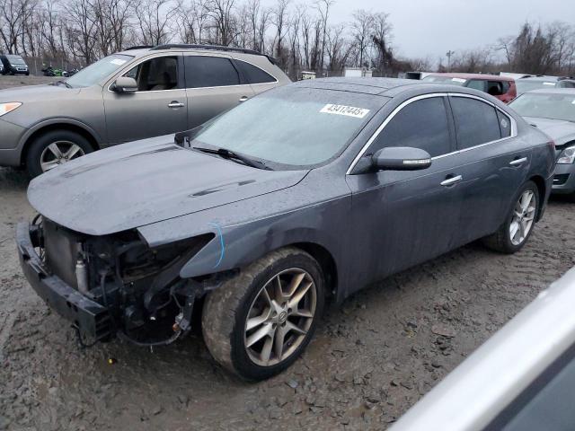 NISSAN MAXIMA S 2010 with VIN 1N4AA5AP5AC848181 - Photo from auction