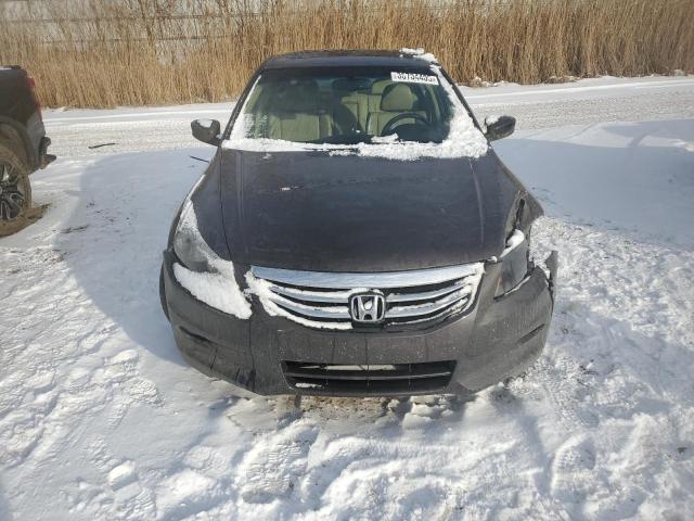 Photo 5 from auction – 2011 HONDA ACCORD EXL with VIN 1HGCP3F88BA016453