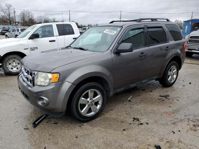 FORD ESCAPE XLT 2011 with VIN 1FMCU0D74BKC08782 - Photo from auction