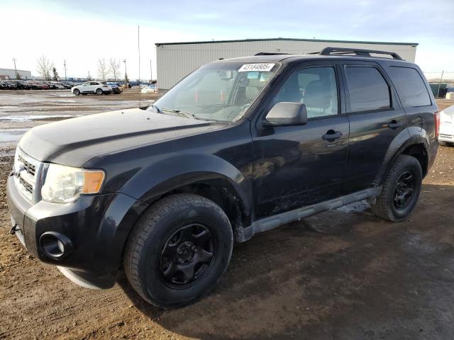 FORD ESCAPE XLT 2011 with VIN 1FMCU9DG5BKA70769 - Photo from auction