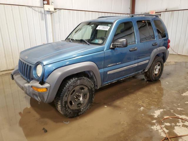 JEEP LIBERTY SP 2003 with VIN 1J4GL48K23W523115 - Photo from auction