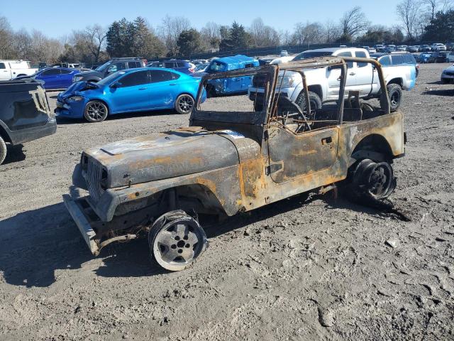 Photo 1 from auction – 1995 JEEP WRANGLER / with VIN 1J4FY19P9SP301556