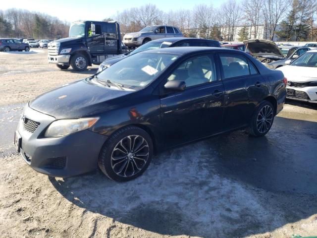 TOYOTA COROLLA BA 2010 with VIN 2T1BU4EE4AC303847 - Photo from auction
