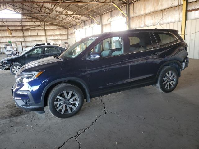 HONDA PILOT EX 2019 with VIN 5FNYF6H39KB077795 - Photo from auction