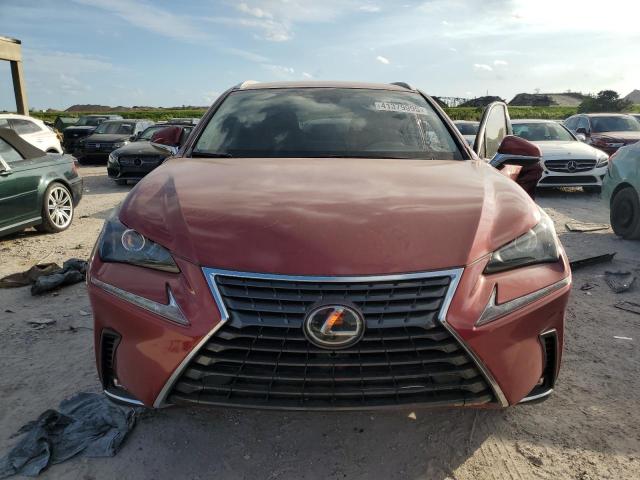Photo 5 from auction – 2020 LEXUS NX 300 BAS with VIN JTJAARBZ1L5017556