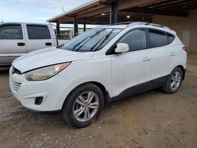 HYUNDAI TUCSON GLS 2011 with VIN KM8JU3AC8BU300539 - Photo from auction