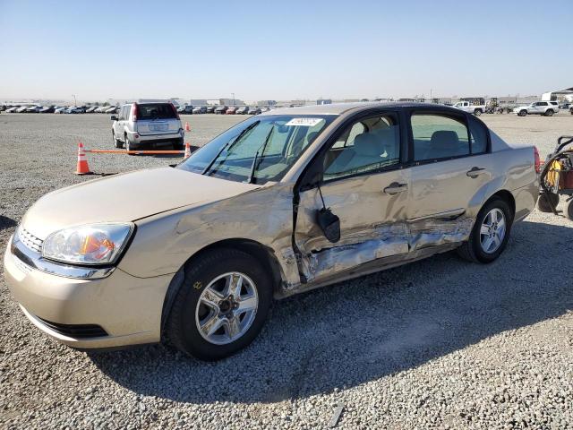 Photo 1 from auction – 2004 CHEVROLET MALIBU LS with VIN 1G1ZT52864F245122
