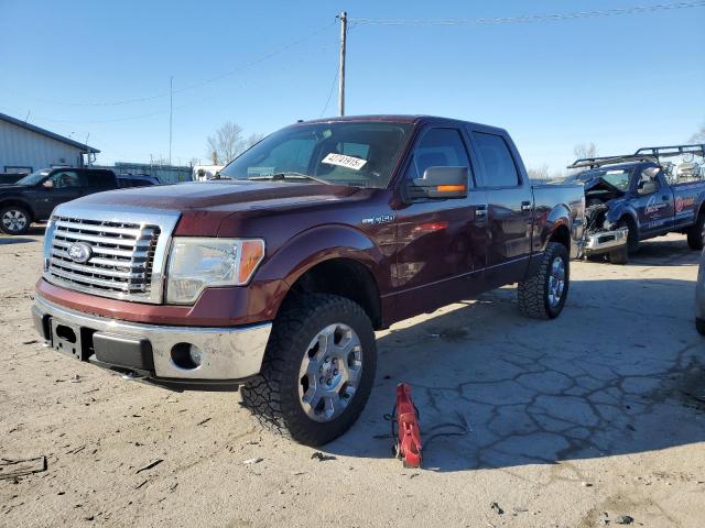 FORD F150 SUPER 2010 with VIN 1FTEW1E81AFA46296 - Photo from auction