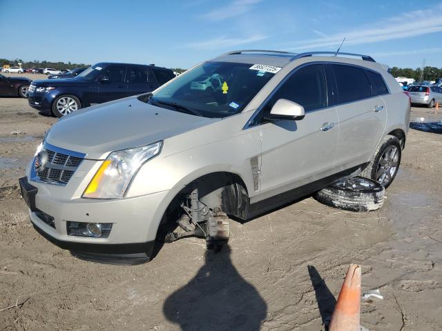 CADILLAC SRX PERFOR 2012 with VIN 3GYFNBE3XCS512480 - Photo from auction