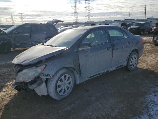 TOYOTA COROLLA BA 2009 with VIN 1NXBU40E59Z146301 - Photo from auction