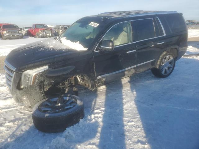 CADILLAC ESCALADE P 2020 with VIN 1GYS4CKJ3LR205116 - Photo from auction