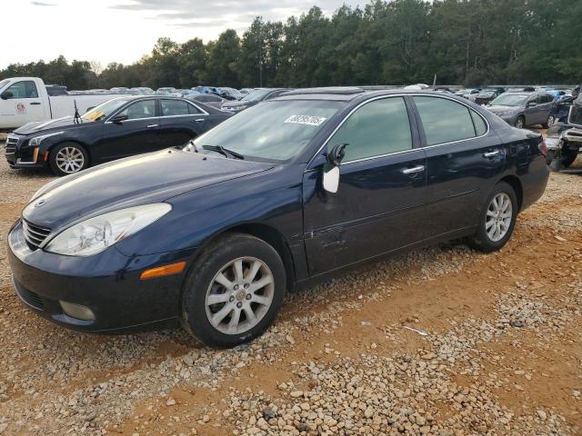 LEXUS ES 330 2004 with VIN JTHBA30GX45009333 - Photo from auction