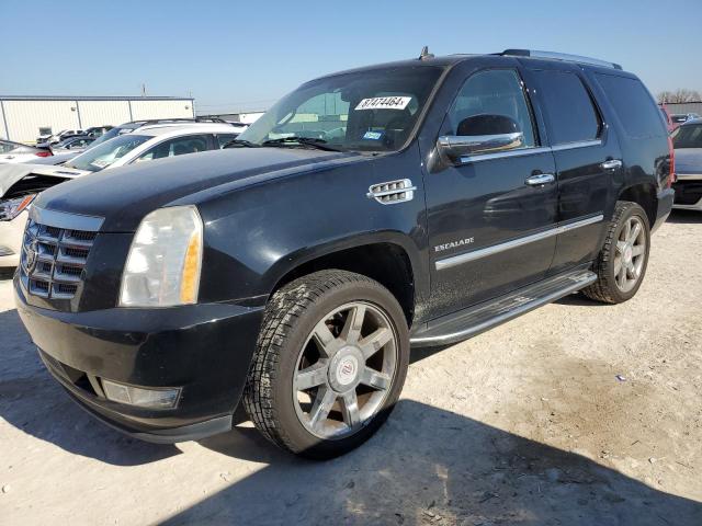 CADILLAC ESCALADE 2010 with VIN 1GYUCAEF6AR137334 - Photo from auction