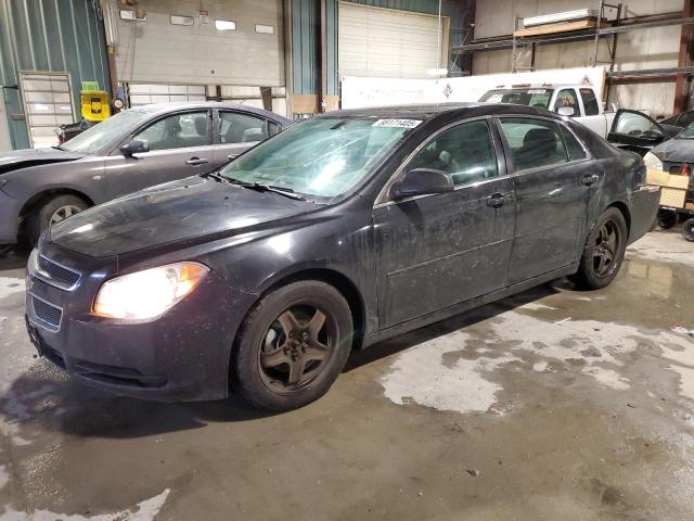 CHEVROLET MALIBU LS 2012 with VIN 1G1ZB5E08CF104821 - Photo from auction