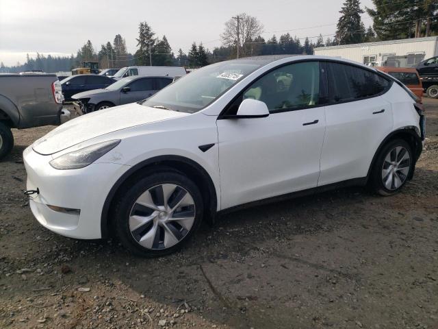 TESLA MODEL Y 2023 with VIN 7SAYGDEE9PF623156 - Photo from auction