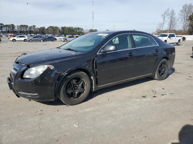 CHEVROLET MALIBU 1LT 2010 with VIN 1G1ZC5EB8AF247537 - Photo from auction