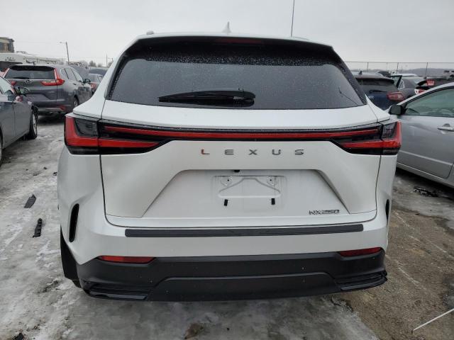 Photo 6 from auction – 2024 LEXUS NX 250 BAS with VIN 2T2ADCAZ6RC010487