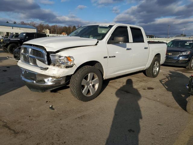 DODGE RAM 1500 2010 with VIN 1D7RV1CT4AS158020 - Photo from auction