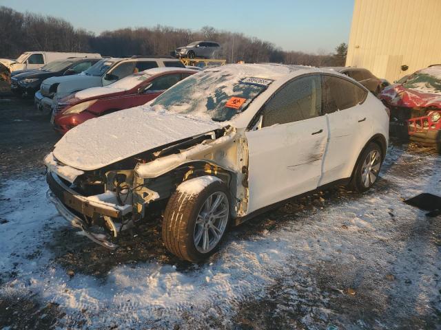 TESLA MODEL Y 2023 with VIN 7SAYGDEE2PA121358 - Photo from auction