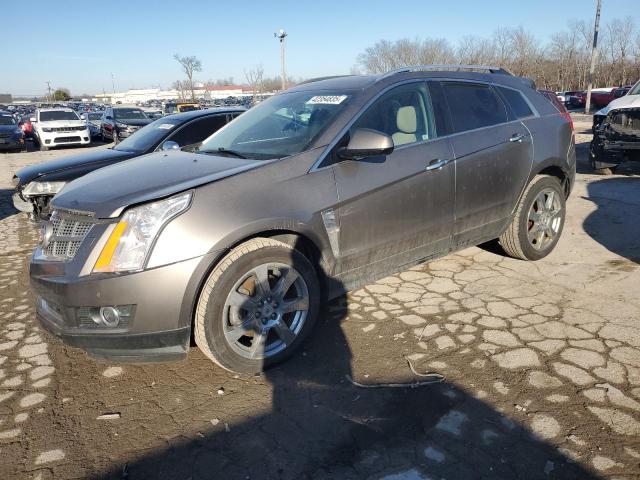 CADILLAC SRX PERFOR 2012 with VIN 3GYFNEE3XCS517289 - Photo from auction