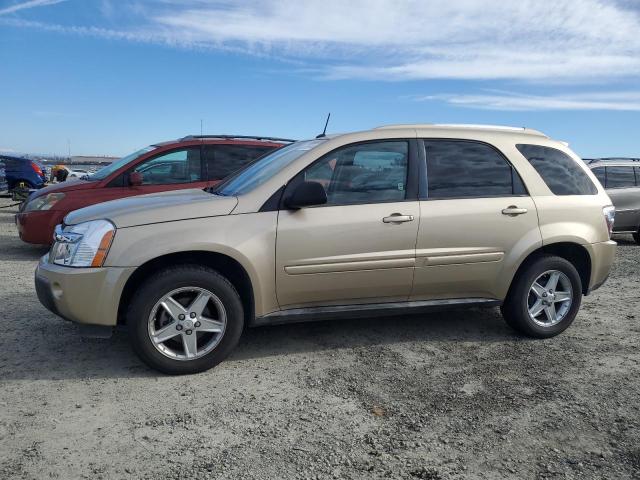 CHEVROLET EQUINOX LT 2005 with VIN 2CNDL73F556175520 - Photo from auction