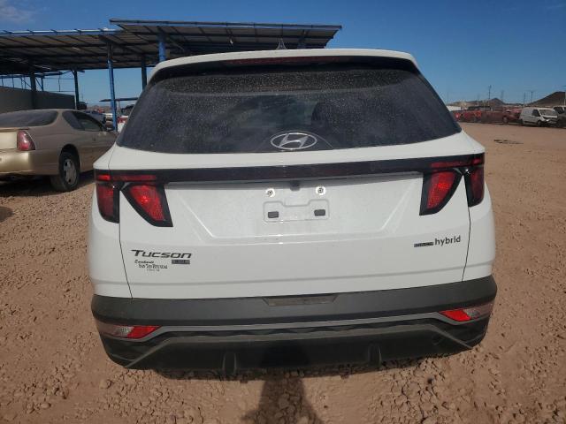 Photo 6 from auction – 2024 HYUNDAI TUCSON BLU with VIN KM8JBCD15RU187465