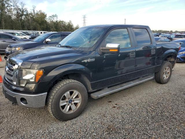 FORD F150 SUPER 2010 with VIN 1FTEW1E80AFB04043 - Photo from auction
