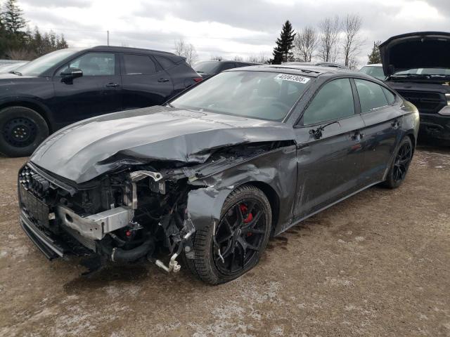 AUDI A5 PREMIUM 2024 with VIN WAUFACF5XRA005979 - Photo from auction