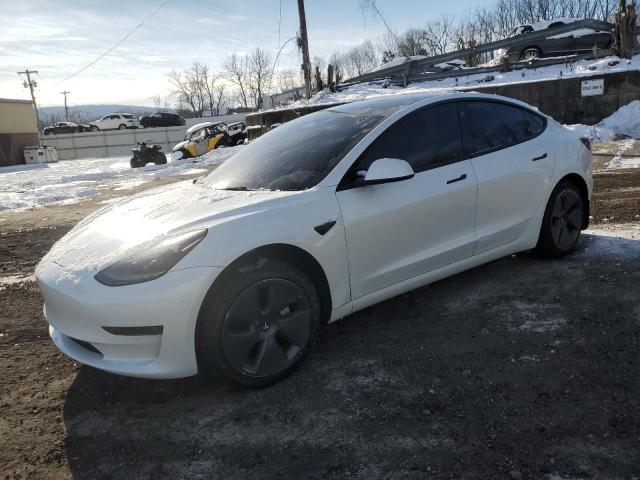 TESLA MODEL 3 2023 with VIN 5YJ3E1EA3PF490516 - Photo from auction