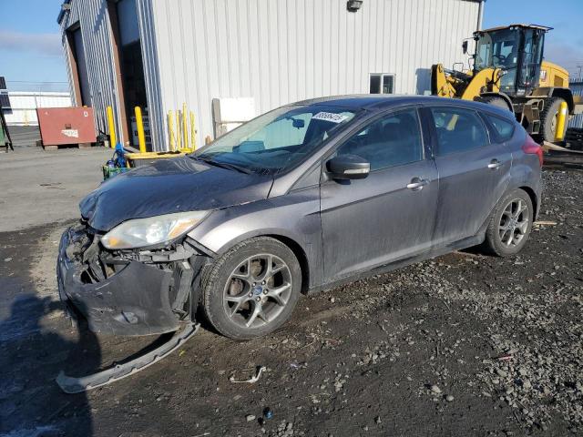 FORD FOCUS SE 2014 with VIN 1FADP3K21EL156931 - Photo from auction