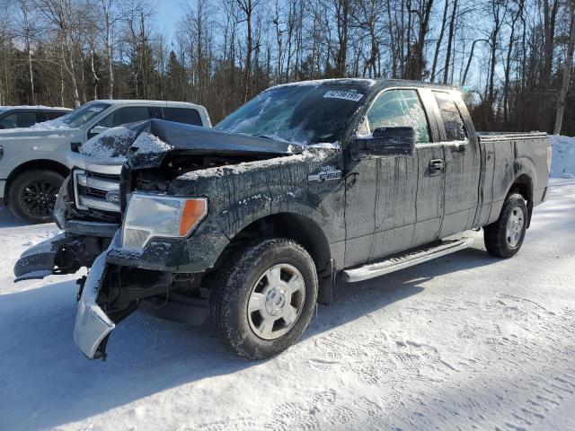 FORD F150 SUPER 2014 with VIN 1FTFX1EF4EFD00704 - Photo from auction