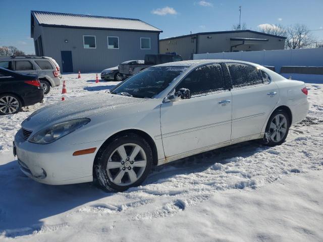 LEXUS ES 330 2005 with VIN JTHBA30G055122046 - Photo from auction