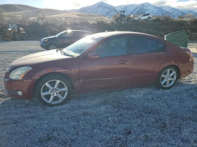 NISSAN MAXIMA SE 2006 with VIN 1N4BA41E66C846198 - Photo from auction