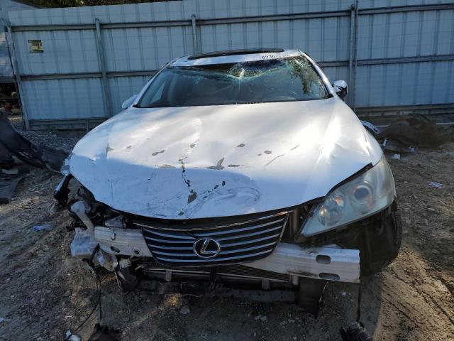 Photo 5 from auction – 2009 LEXUS ES 350 with VIN JTHBJ46G692324345