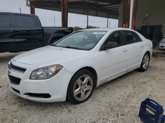 CHEVROLET MALIBU LS 2012 with VIN 1G1ZB5E07CF231835 - Photo from auction